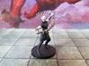 Shadar-kai Shadow Dancer - with or without chains 3d printed 