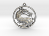 Dragon Medallion Necklace Symbol Jewelry 3d printed 
