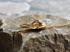 Dicranurus Trilobite Pendant - Paleontology  3d printed Dicranurus Trilobite in 14K gold plated brass