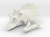 Regaliceratops Skull 3d printed 
