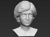 Princess Diana bust 3d printed 