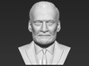 Buzz Aldrin bust 3d printed 