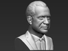 Richard Nixon bust 3d printed 