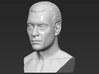 Jean Claude Van Damme Kickboxer bust 3d printed 