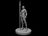Human Female Fighter with Spear  3d printed 