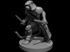 Tabaxi Female Rogue 3d printed 