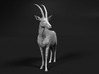 Sable Antelope 1:25 Standing Female 2 3d printed 