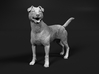 Jack Russell Terrier 1:32 Standing Male 3d printed 