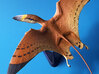 Dimorphodon - model pterosaur 3d printed 
