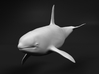 Killer Whale 1:72 Swimming Male 3d printed 