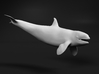 Killer Whale 1:32 Female with mouth open 2 3d printed 