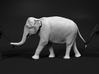 Indian Elephant 1:20 Female walking in a line 3 3d printed 
