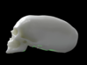Elongated skull 3d printed 