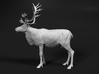 Reindeer 1:22 Standing Male 1 3d printed 