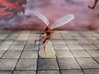 Assassin Bug  3d printed 