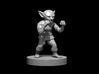 Goblin Monk 3d printed 