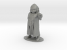 Dungeon Master Miniature 3d printed 