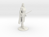 Sidhe Elven Fighter/Magic-User 3d printed 