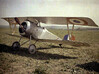 Nameplate Nieuport 17 3d printed 