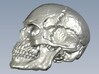 1/16 scale human skull miniatures x 15 3d printed 