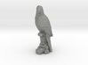 S Scale Parrot 3d printed This is a render not a picture