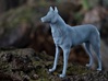 Wolf - High Detail Sculpture 3d printed (Resin model printed on my own printer)