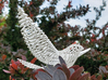 Dove Ornament 3d printed Spring time!