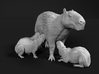 Capybara 1:32 Mother with three young 3d printed 