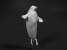 Ringed Seal 1:22 Head above the water 3d printed 