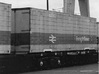 Freightliner Container non-ISO doors - 4mm scale 3d printed A Freightliner non-ISO 30ft type D container