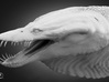 Nothosaurus 3d printed 