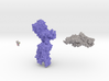 Luteinizing Hormone Receptor Collection 3d printed 