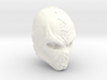 Executioner full mask (Motu Origins) updated 3d printed 