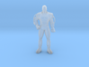Captain Commando 1/60 miniature for games rpg idle 3d printed 