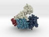 DNA Polymerase 1KTQ 3d printed 