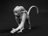 Squirrel Monkey 1:9 Female with baby 2 3d printed 