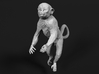 Squirrel Monkey 1:12 Male in tree 3 3d printed 