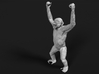 Chimpanzee 1:64 Male with raised arms 3d printed 