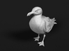 Glaucous Gull 1:16 Standing 2 3d printed 