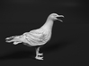 Herring Gull 1:12 Open beak 3d printed 