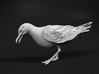 Herring Gull 1:25 Looking down 2 3d printed 