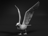 Herring Gull 1:12 Ready for take off 3d printed 