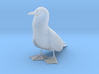 Blue-Footed Booby 3d printed 