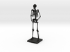 10" Desktop Skeleton 3d printed 
