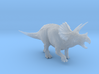 Triceratops for stevedexter 3d printed 