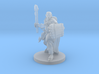 Male Human Druid with Lizard Totem 3d printed 