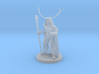 Elven Archdruid 3d printed 