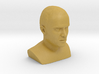 Jesse Pinkman bust 3d printed 