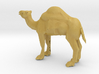 S Scale Camel 3d printed 