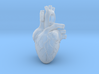 Anatomical Heart Pendant 3d printed 